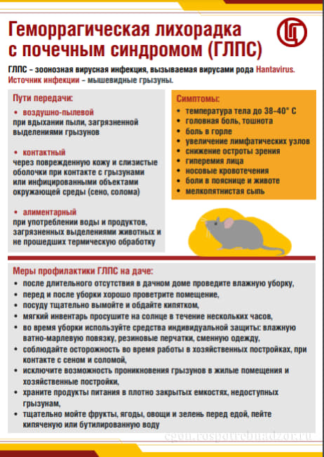  сайт ФБУЗ "Центр гигиенического образования населения " Роспотребнадзора