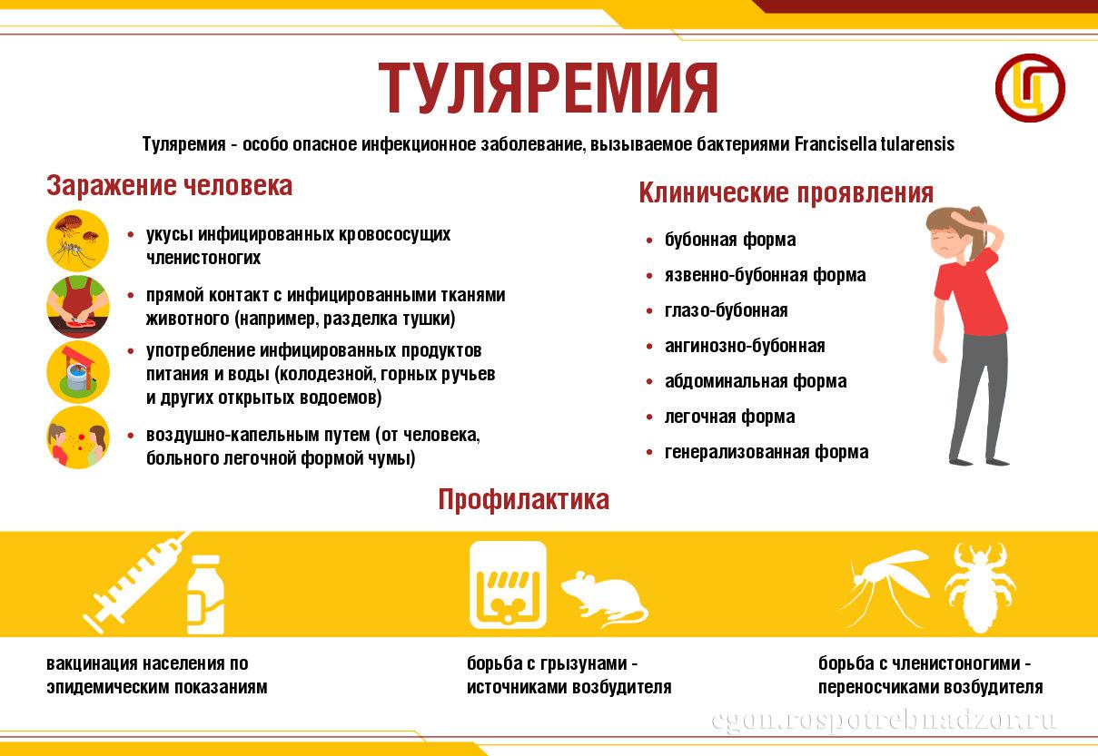 Меры профилактики туляремии