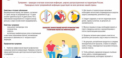 Меры профилактики туляремии Меры профилактики туляремии
